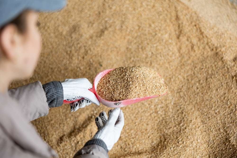 دراسة جدوى إنشاء مصنع أعلاف متكامل