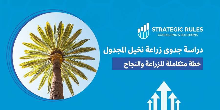 دراسة جدوى زراعة نخيل المجدول