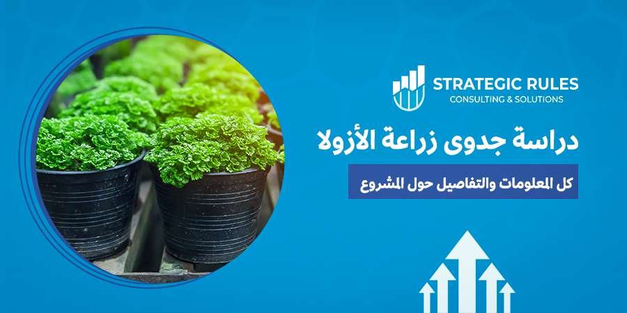 دراسة جدوى زراعة الأزولا