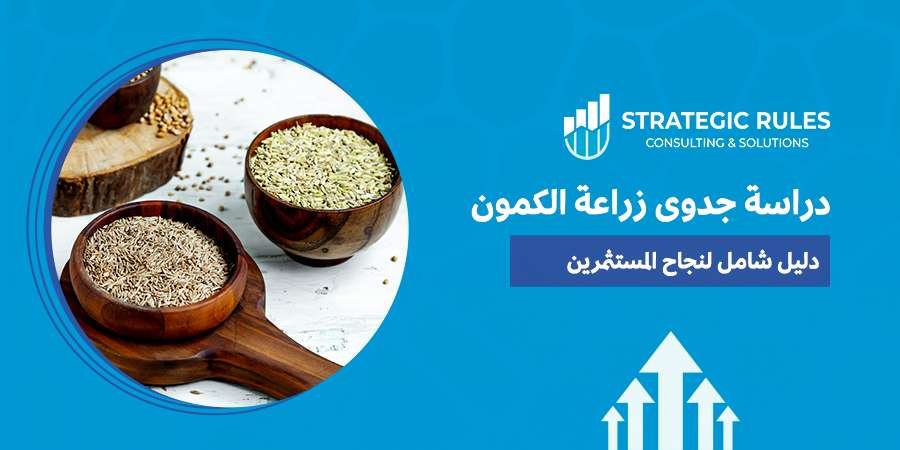 دراسة جدوى زراعة الكمون