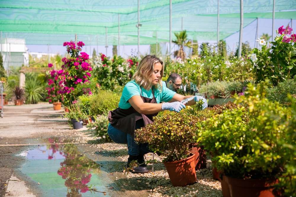 دراسة جدوى مشروع تنسيق حدائق