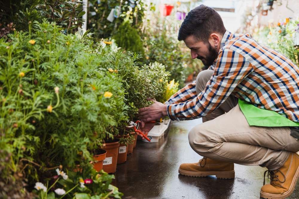 دراسة جدوى مشروع تنسيق حدائق