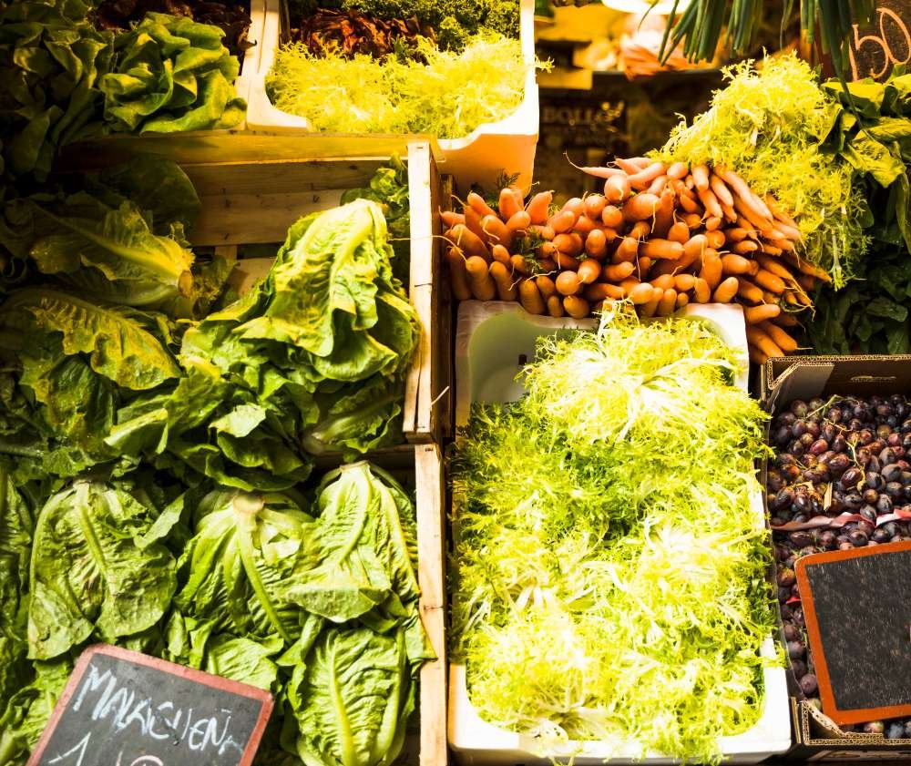 دراسة جدوى مشروع محطة تصدير حاصلات زراعية