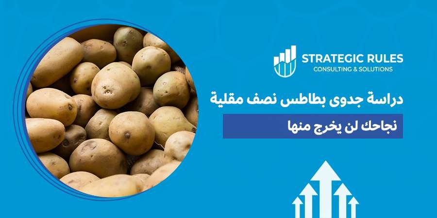 دراسة جدوى بطاطس نصف مقلية
