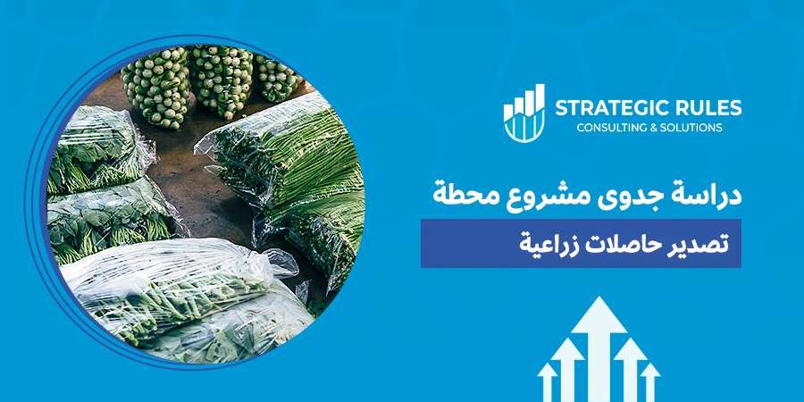 دراسة جدوى مشروع محطة تصدير حاصلات زراعية