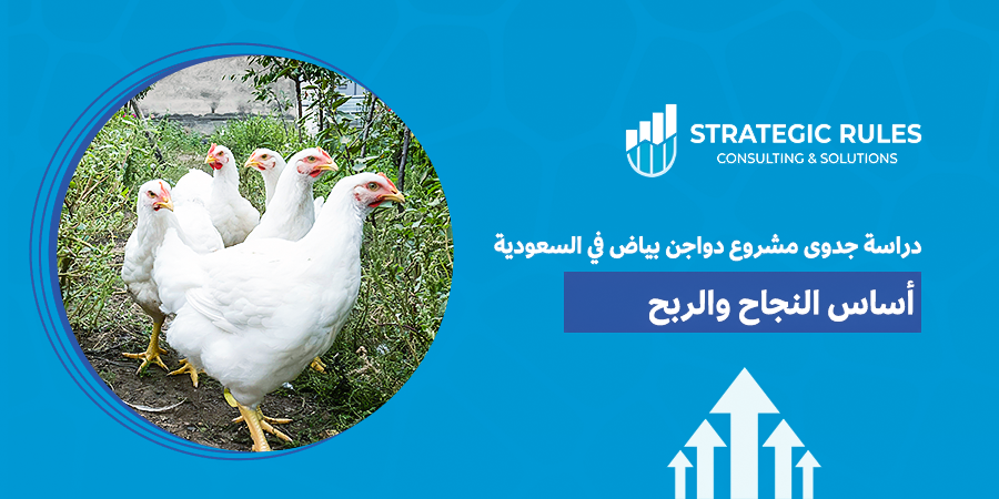 دراسة جدوى مشروع دواجن بياض في السعودية