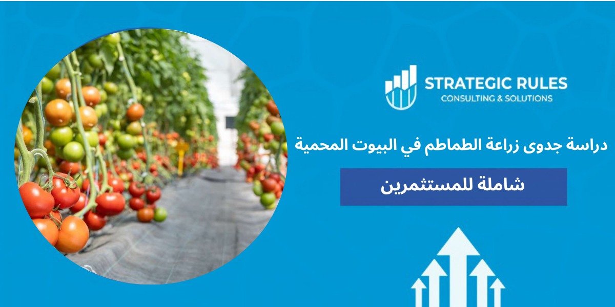 دراسة جدوى زراعة الطماطم في البيوت المحمية