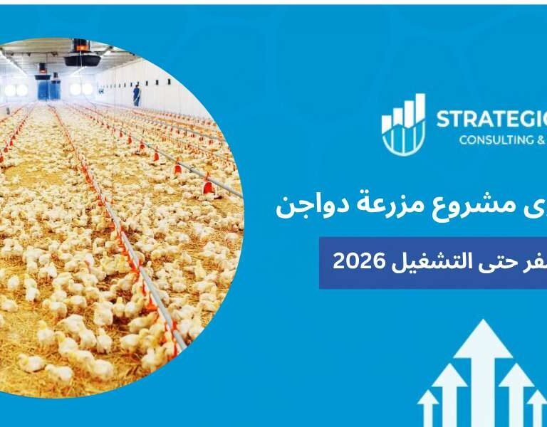 دراسة جدوى مشروع مزرعة دواجن
